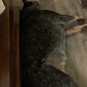 Meet your Posher, Jana